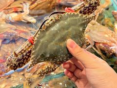 -大锅强·蒸海鲜青岛菜(金沙滩店)