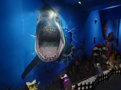 -船奇蒸汽海鲜·闽菜(八市海鲜总店)