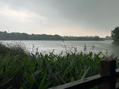 -东湖落雁景区
