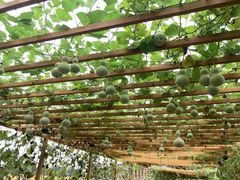 -中国天府农业博览园