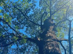 -终南山南五台景区