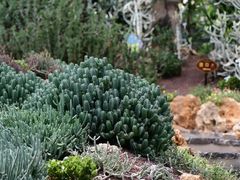 -南通洲际绿博园