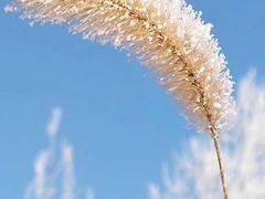 -长春公园(普阳街道)