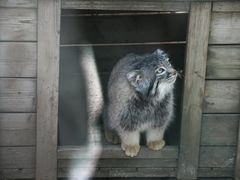 -青藏高原野生动物园