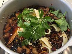 -晓彭肥肠鸡·泡椒鸡火锅(水木天地店)