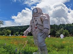 -武陵山森林公园