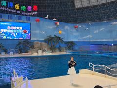 -泉城欧乐堡海洋极地世界