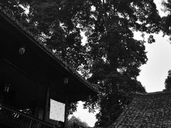 -峨眉山报国寺
