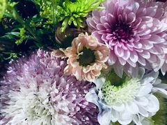 -老客满蛋饼(双塔市集店)