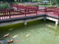 -河北省园博园