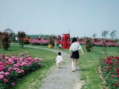 -南通鲜花小镇