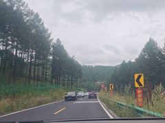 -塞罕坝国家级自然保护区