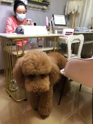 -첫번째 初见美学中心