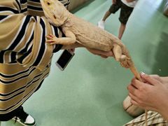 -藦茜花园宠物主题亲子互动体验馆(国顺东路店)