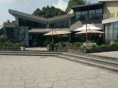 -龙猫意杯花园餐厅(芙蓉湖店)