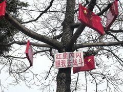 -人民公社大食堂(顺义总店)