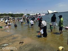-碧海金沙