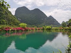 -靖西鹅泉风景区