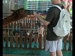 -柳州市动物园
