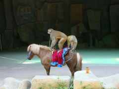 -亚龙湾海底世界