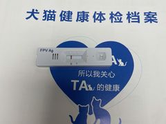 -伟伟宠物医院·CT影像中心·瑞派犬猫综合性门诊(汉口总院)