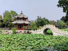 -莲池书院博物馆
