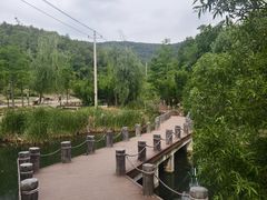 -浮槎山