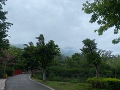 -西昌邛海湾柏樾酒店(原邛海湾柏栎度假酒店)