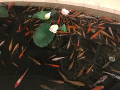 -千岛湖鱼味馆(十字街总店)