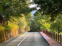 -广州市石门国家森林公园