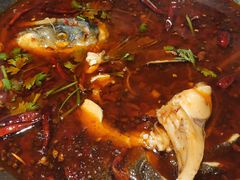 -红牌美蛙鱼头火锅(万辉国际广场店)