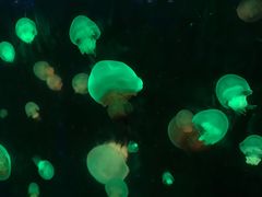 -五缘湾悦都汇购物中心