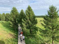 -塞罕坝国家级自然保护区