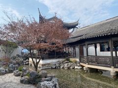 -新万鑫银丝面·非遗无锡味(惠山古镇店)