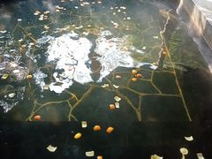 -西安国际创新人才交流中心•药浴温泉