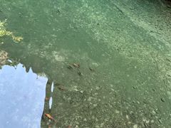 -雁荡山灵岩景区