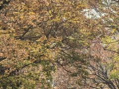 -青岛海滨风景区