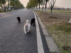 -漕湖湿地公园