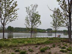 -东郊湿地公园