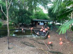 -清迈夜间动物园