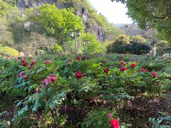 -幕燕滨江·长江观音景区