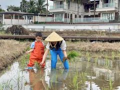 -金豆子幼稚园