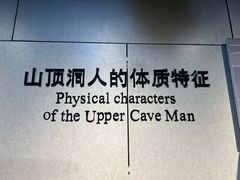 -北京周口店北京人遗址博物馆
