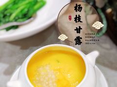 -食神鱼头佛跳墙(百子湾旗舰店)