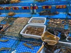 水产区-江杨农产品批发市场