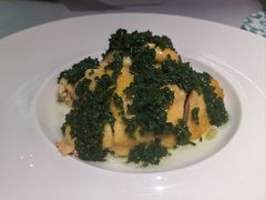 -桂满陇·海市蜃楼·黑金(国金店)