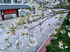 -上海南浦大桥长途旅游客运站