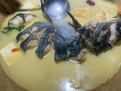 -滇小鱼·云南野生菌火锅(上杭路店)