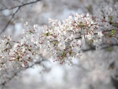 -龙美术馆(西岸馆)
