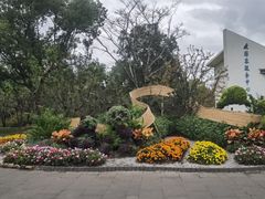 -上海滨江森林公园